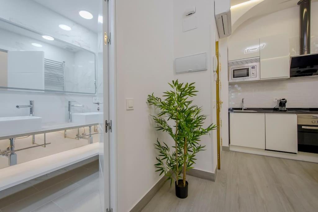 Suara Apartamentos 2 Madrid Exteriér fotografie